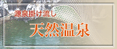 源泉かけ流し|清風館の内湯|温泉の御案内